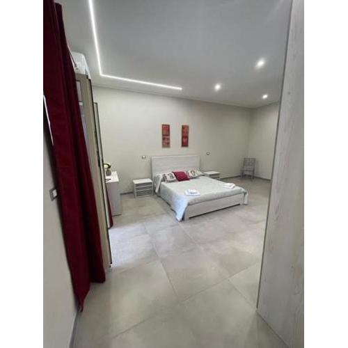 Daiana House