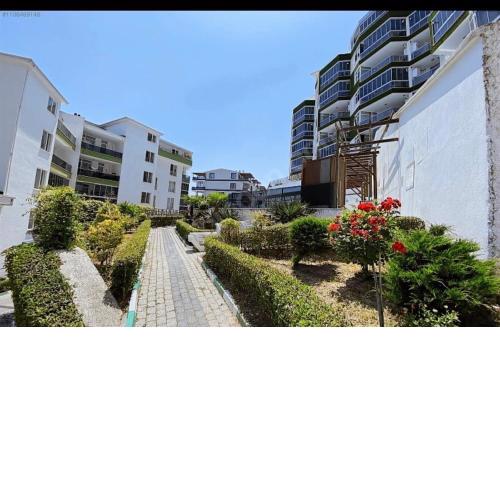 Daire Mudanya ,