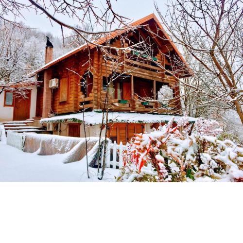 Dajti Paradise Agroturizem