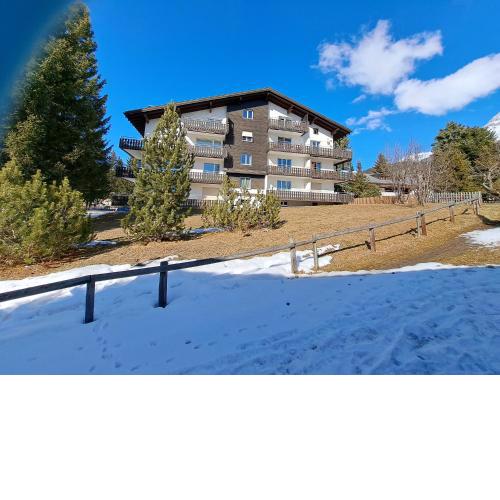Damiez (371 Br)