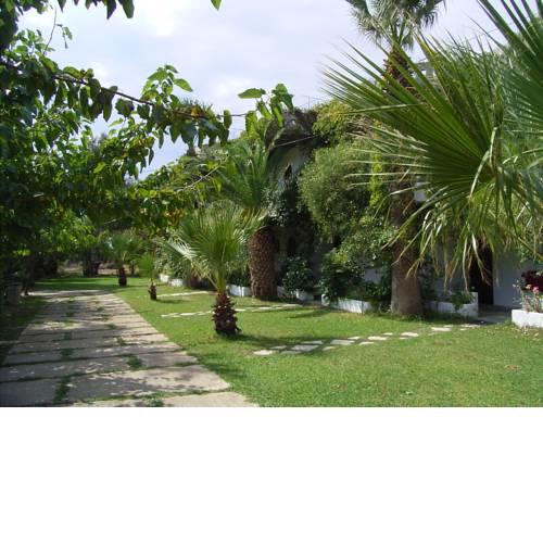 Damnoni Paradise