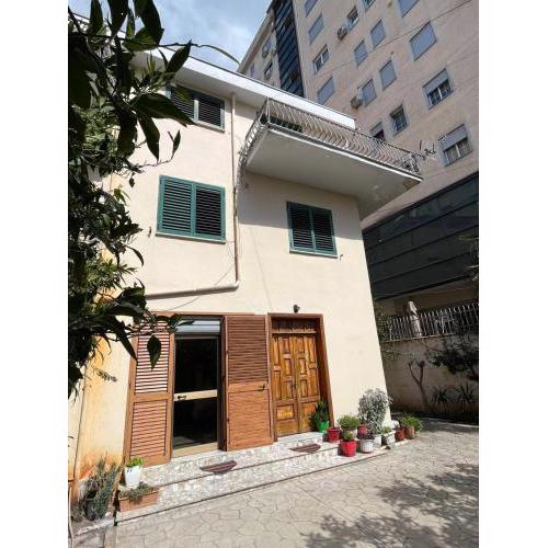Daniela Aparment