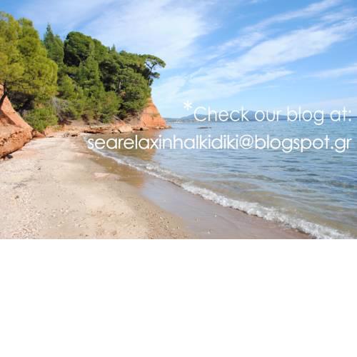 Daniil's Seafront Apartment