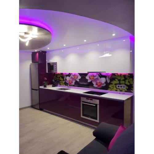 Dary Rent Orquidea