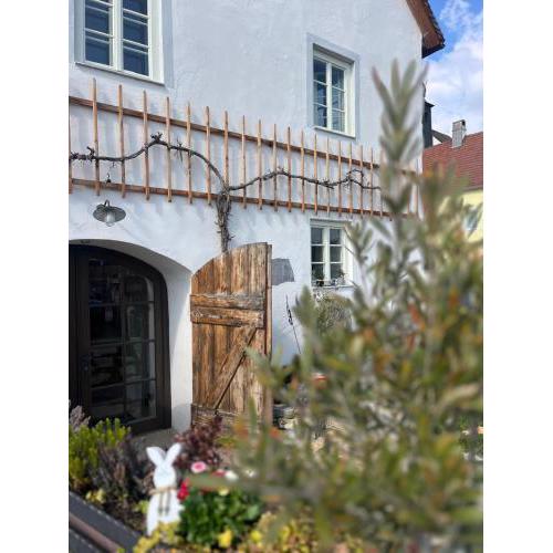 DAS Donauhaus