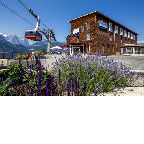Das Hotel Panorama