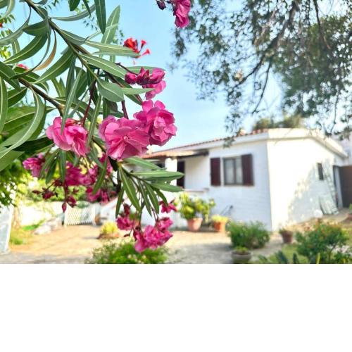 David Apartment House San Giovanni di Posada