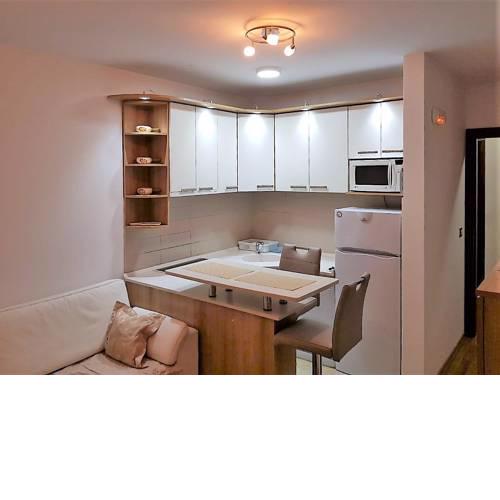 Davor apartment in Center