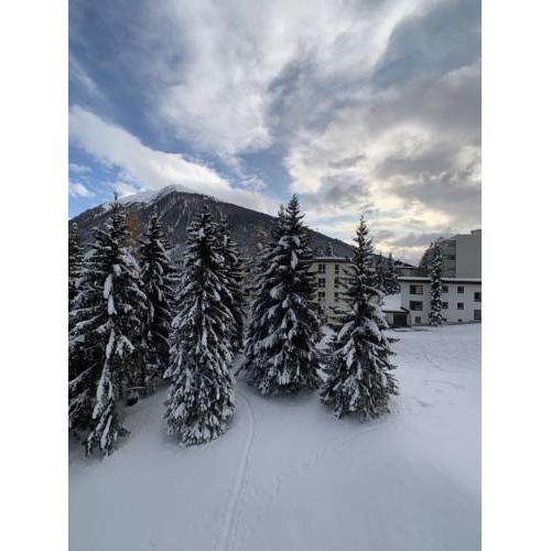 Davos Universum - mittendrin, in der Davoser City & Stille der Alpenwelt - der Himmel auf Erden - klein, schick, fühl Dich Zuhause - sei Willkommen!