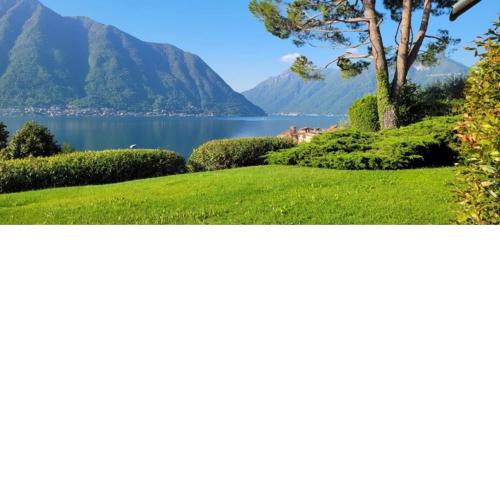 Degli Ulivi Apartment