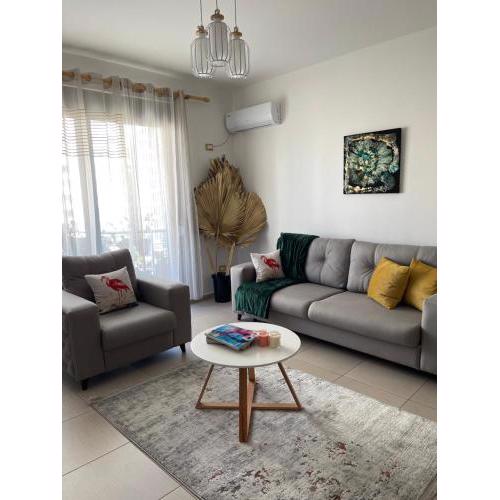 Del Mar Center Apartment