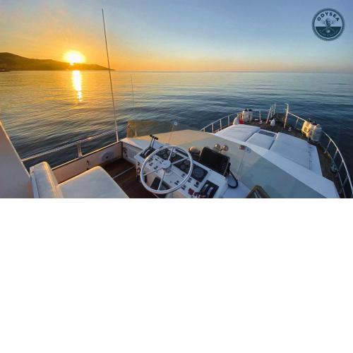 delphin 4 odysea it