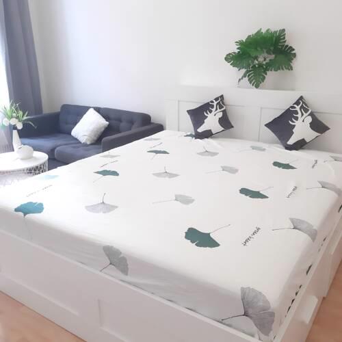 Deluxe Blaha apartment, near CITY CENTER