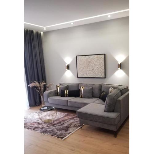 Deluxe Rent Apartment