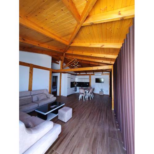 Deluxe wooden villa