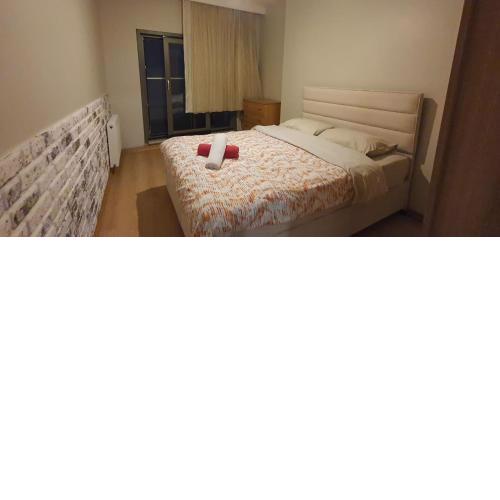 Demir Home