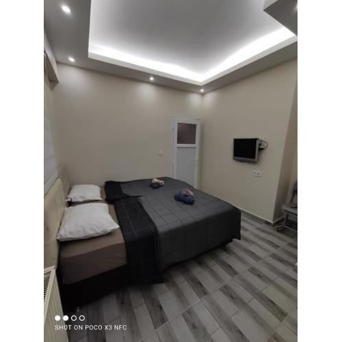 Denize 50 metre 2+1