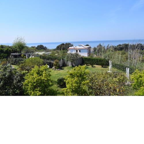 Depandance del Leone di mare