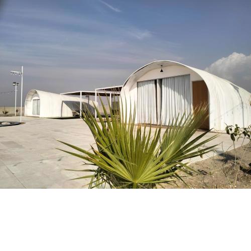 Desert Breeze Cocoon