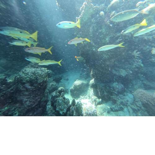 Desert & Sea Haven Marsa Alam