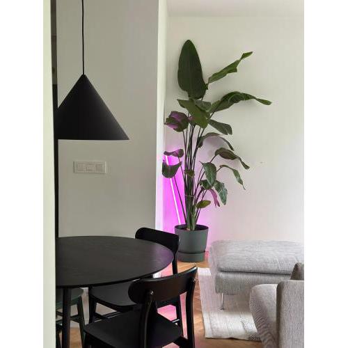 Design apartment with atmosphere
