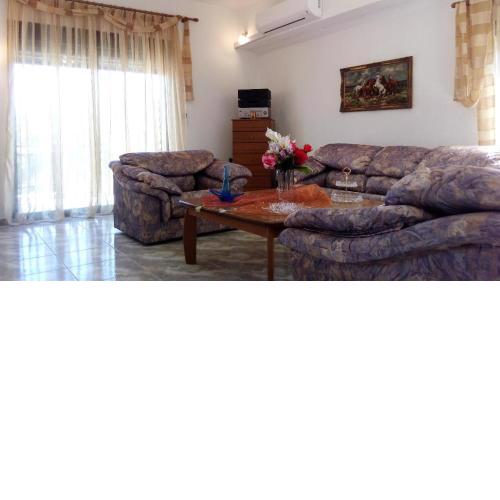 Despi's Apartment
