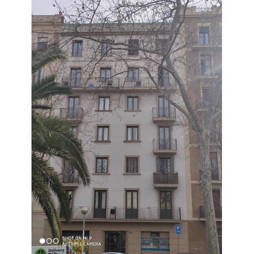 Diagonal Apartments