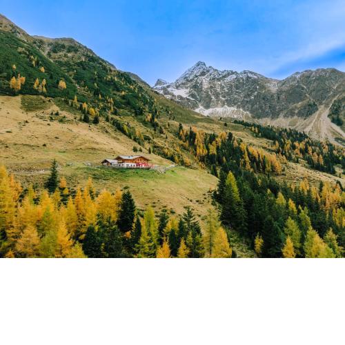Die Acherberg Alm