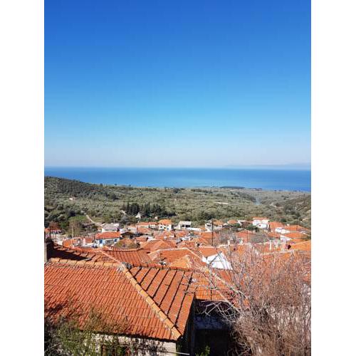 Dimitra's Garden Villa