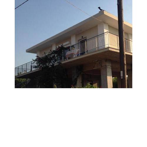 Dimitri's house