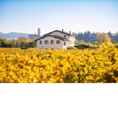 Dimora Buglioni Wine Relais