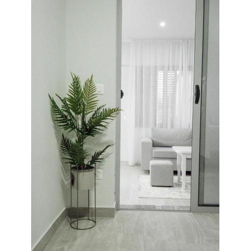 Dionis House