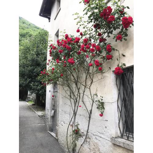 Do-Minus Guesthouse & Mini Spa