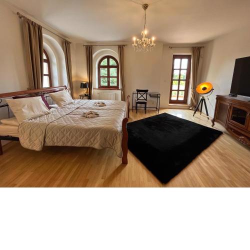 Dogs Resort and Spa