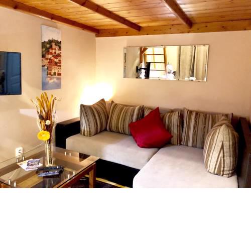 Dohany Downtown Studio, The Shelters