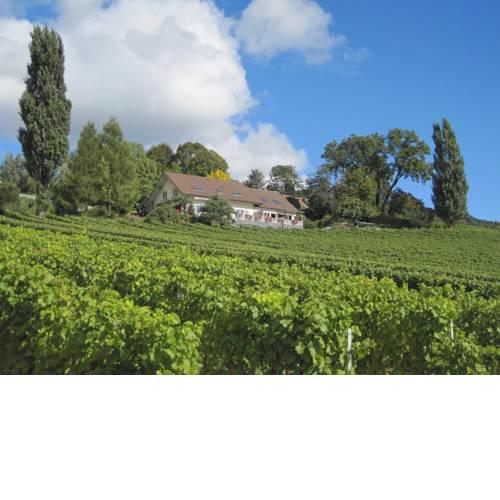 Vaud 