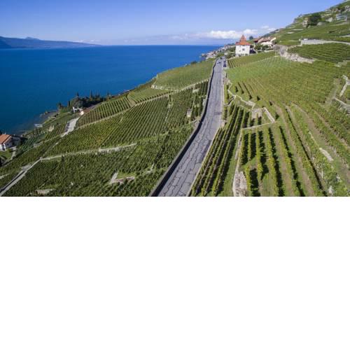 Domaine du Burignon