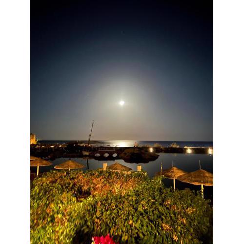 Domina coral bay Beach and lake direct view 3