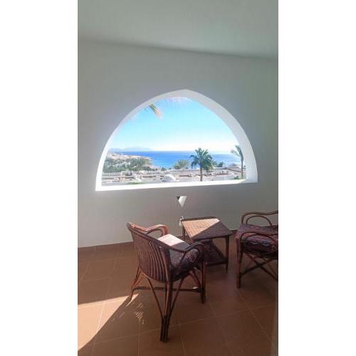 Domina Coral Bay Properties