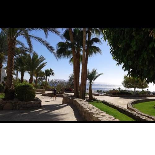 Domina Coral Bay