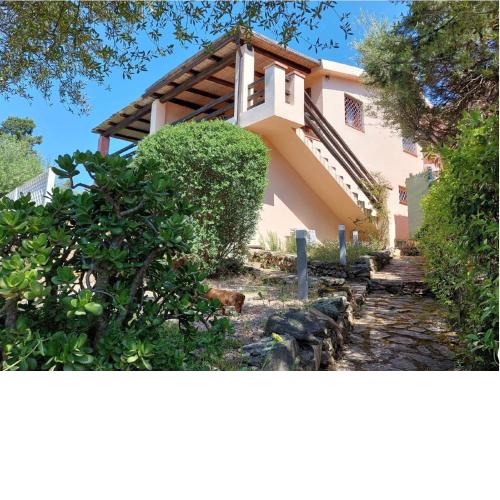 Dòmo a Palàttu Porto Rotondo