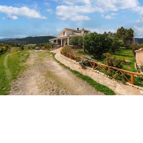 Domus Blanca Max