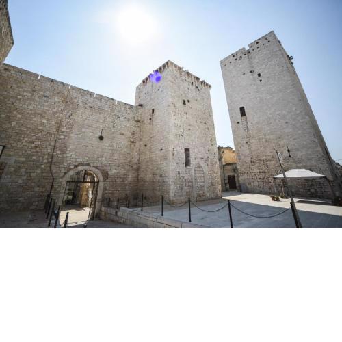 Domus Castrum