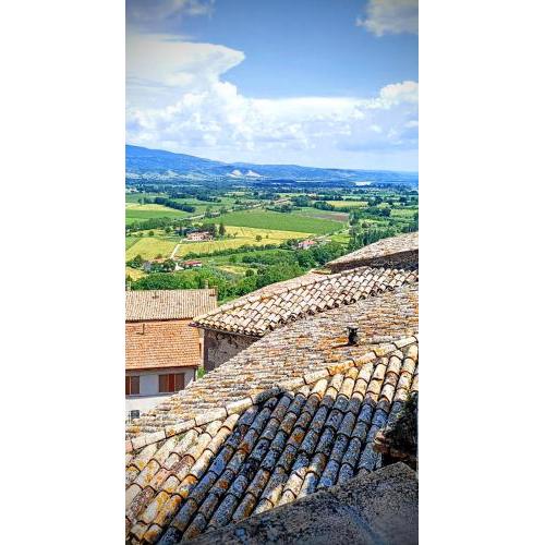 Domus Claudia