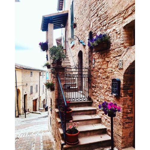 Domus Flora Guest House