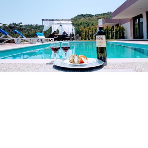 Domus Luxury Villas Hanioti