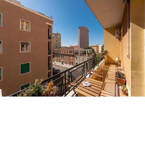 Domus Mea