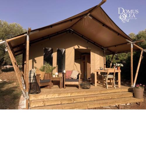 Domus Olea Glamping