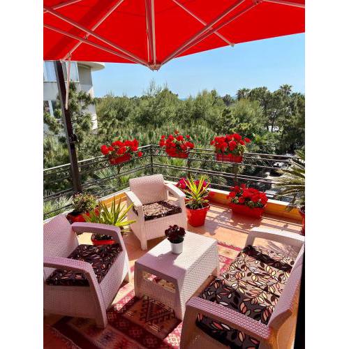 Don Robert Apartment