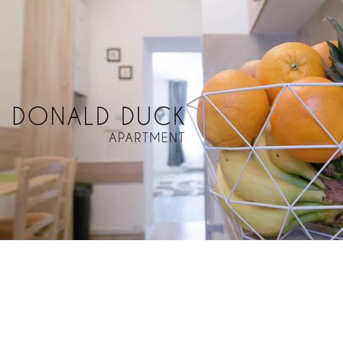 Donald Duck Apartment